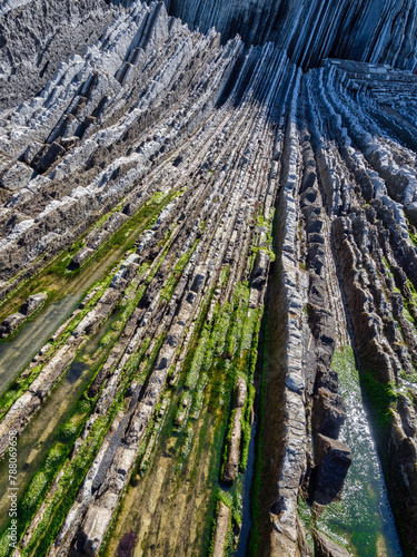 Flysch lines