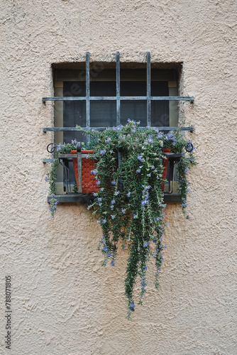 Decorating the facade of a house with pots of flowers - decorative elements