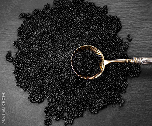 Black Caviar in golden spoon on caviar backdrop. High quality natural sturgeon black caviar close-up. Slate stone background. Delicatessen. Texture of expensive luxury caviar, top view. © Subbotina Anna