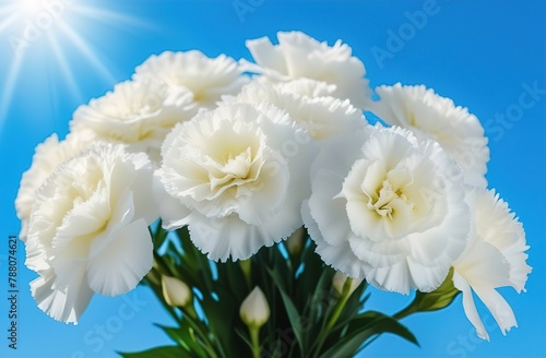 Mother's Day. Holiday. A postcard for parents. White carnations on a blue sky background. 9th May. Victory Day. soft focus.