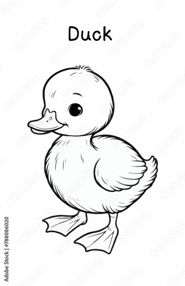 Baby Duck Baby Duck