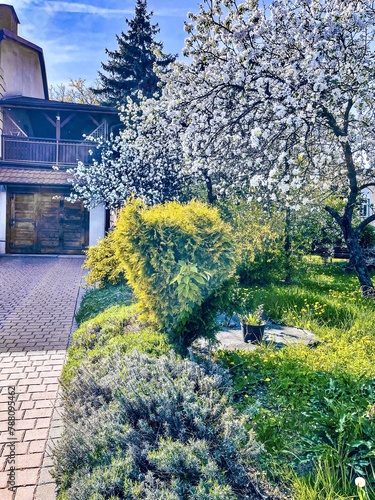Obraz na płótnie A beautiful fragment of a small garden in Jaslo, Poland. w salonie