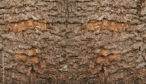 Embossed texture of the bark of oak. Panoramic photo of the oak texture. Generative AI.