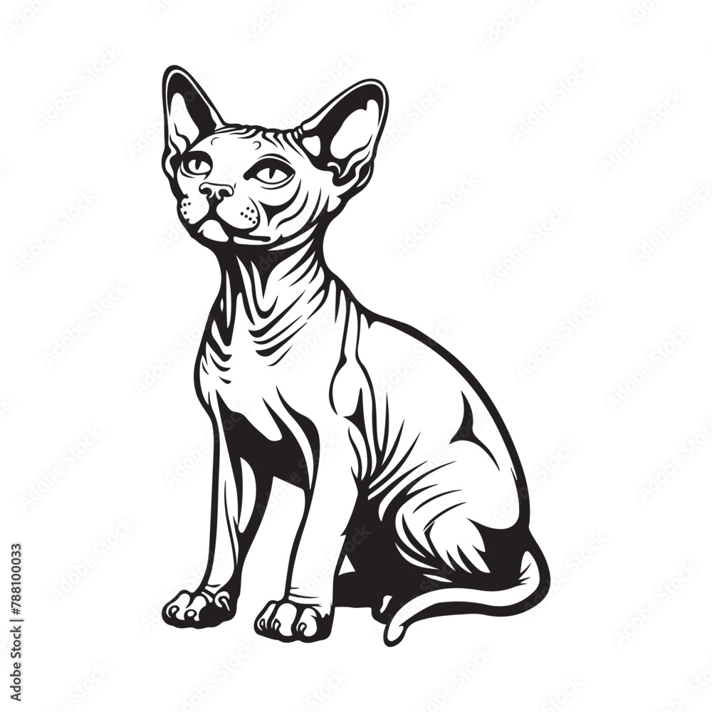 Sphinx Cat Vector Art, Icons, and Graphics on White background
