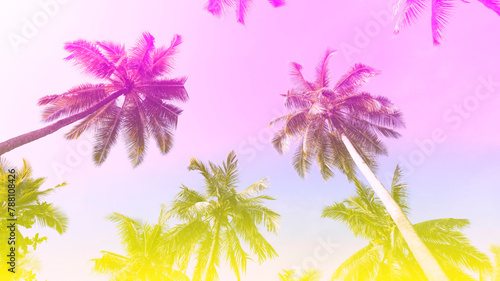 Banner Summer with colorful theme as palm trees background as texture frame background © SASITHORN