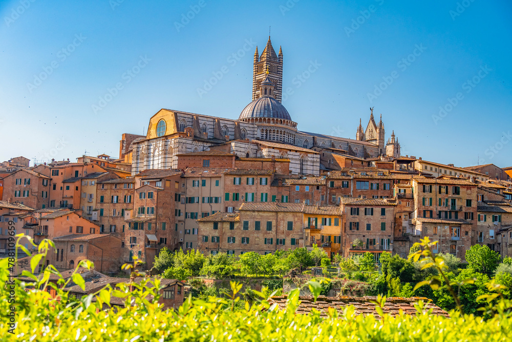 Fototapeta premium Siena, medieval town in Tuscany, with view of the Dome & Bell Tower of Siena Cathedral, Mangia Tower and Basilica of San Domenico, Italy