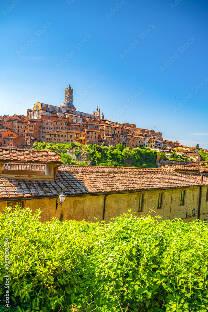 Naklejka premium Siena, medieval town in Tuscany, with view of the Dome & Bell Tower of Siena Cathedral, Mangia Tower and Basilica of San Domenico, Italy