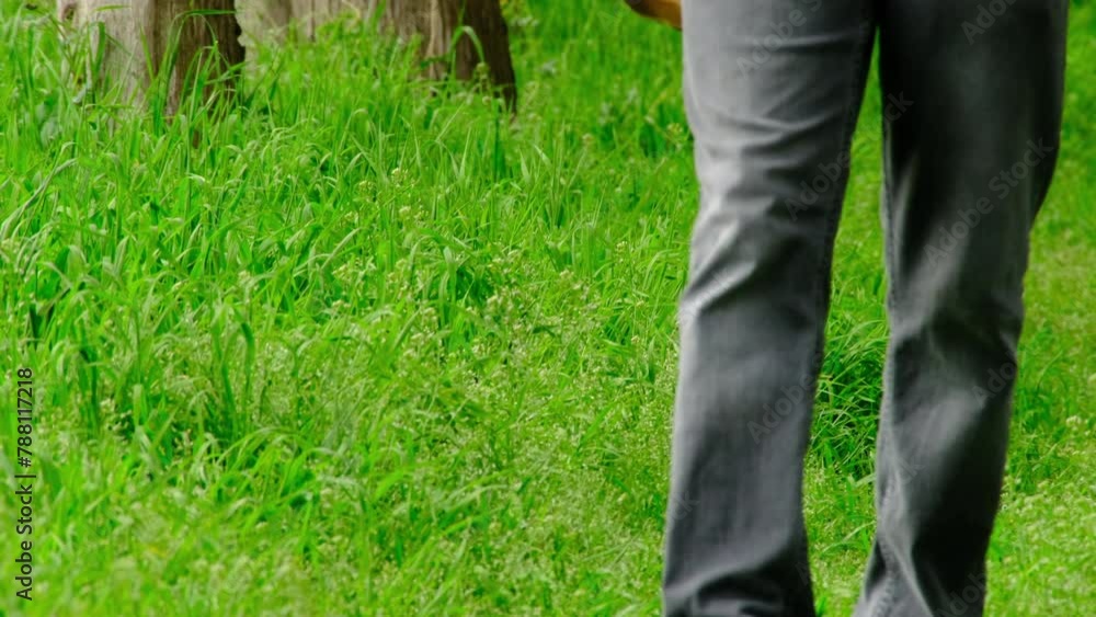 person walking on the grass person walking on the grass