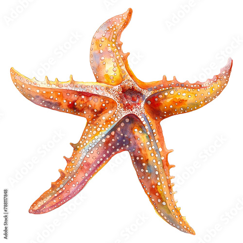 Starfish in watercolor style isolated on transparent background.