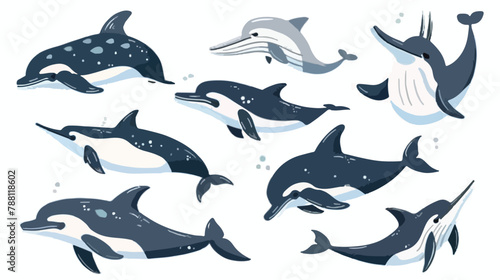 Sea animals set. Ocean fauna dolphins killer whale 