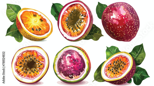 Set of Four realistic ripe tropical fruits half 