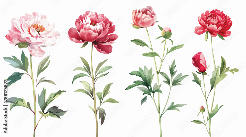 Set of Four vertical botanical backdrops with romantic
