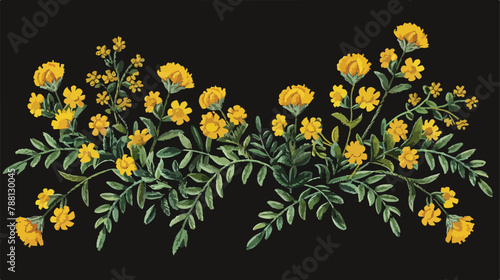 Tansy embroidered with yellow and green threads 