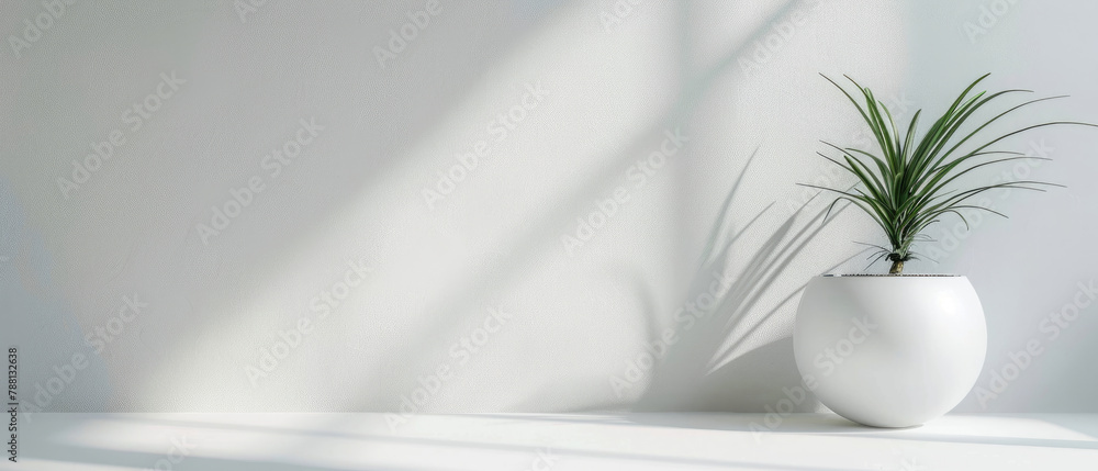 Asymmetrical composition in a simple minimalist room mockup gives the impression of a three-dimensional room environment with soft bright white nuances Asymmetrical composition in a simple minimalist room mockup gives the impression of a three-dimensional room environment with soft bright white nuances