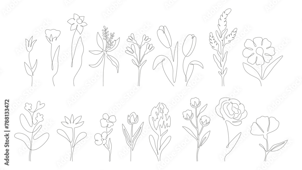 Line art wild flowers collection