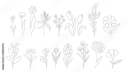 Line art wild flowers collection