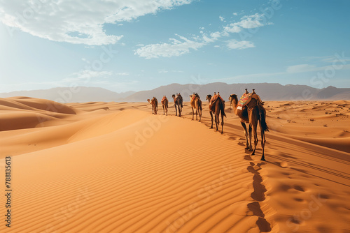 Camelcade on sand dune at desert