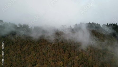 Aerial view of misty woodland in autumn, Faias de Sao Lourenco, Manteigas, Serra da Estrela, Portugal. photo