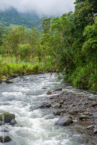 Mindo river, Mindo cloud forest, Ecuador.