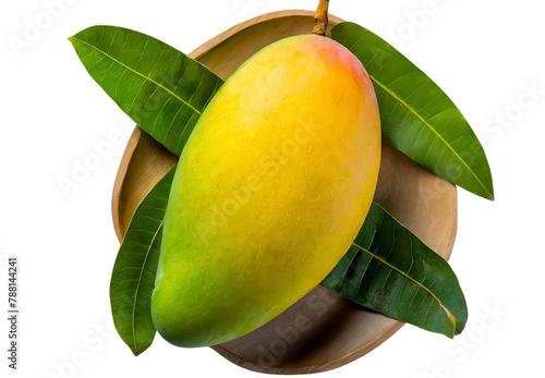 A single pic sour mango on white background top view © Priyanka