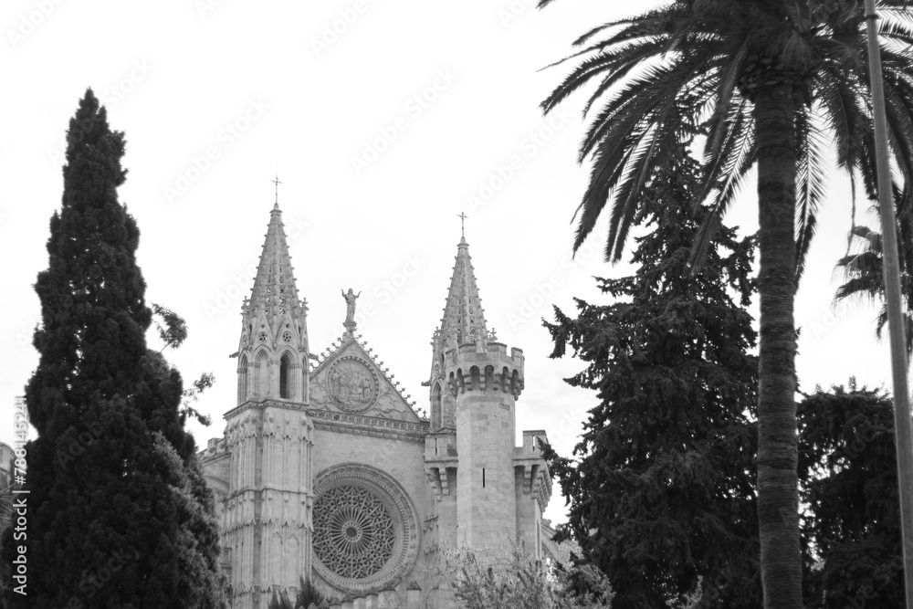 A timeless scene captured in black and white, featuring an ancient cathedral encircled by palm trees under a cloudy sky. The grayscale enhances the architectural and natural beauty.