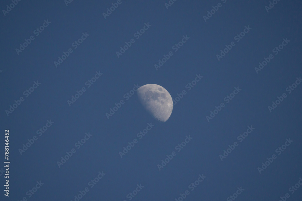 The Moon is an astronomical body The Moon is an astronomical body