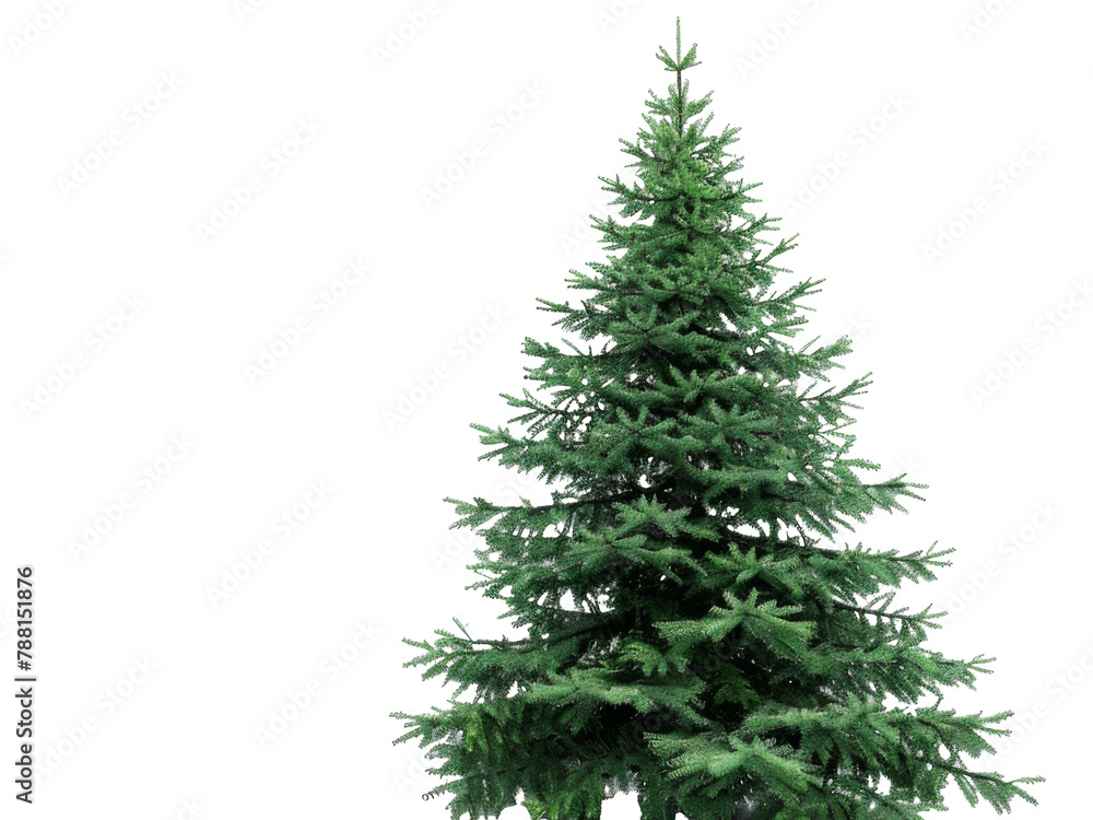 christmas tree, isolated on a transparent background. PNG