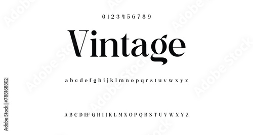 Elegant Font Uppercase Lowercase and Number. Classic Lettering Minimal Fashion Designs. Typography modern serif fonts regular decorative vintage concept. vector illustration