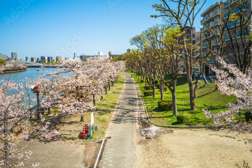 Kema Sakuranomiya Park, a park near by Ogawa River in osaka and famous for cherry blossom in japan