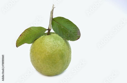 Organic Guava Fruit with Green Leaves Isolated on White Background with Copy Space