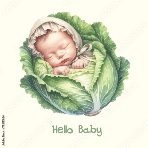 Watercolor baby found in cabbage patch. Funny explanation where babies come from.