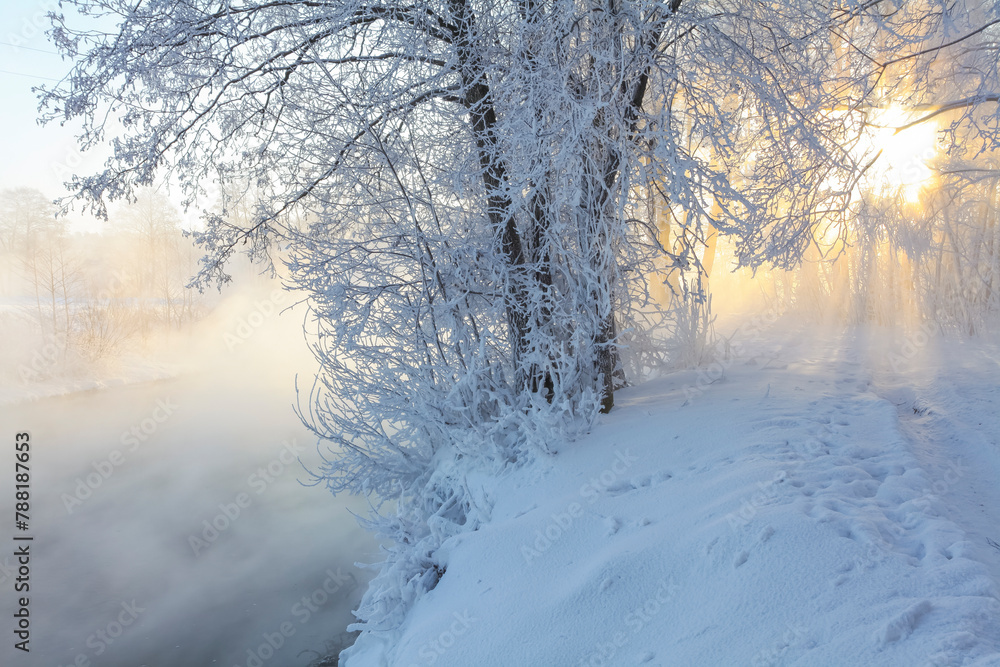 View of snowy woodland in Pehorka, Russia. View of snowy woodland in Pehorka, Russia.