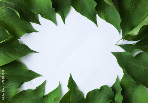 Frame made of green leaves on white background, top view. Space for text