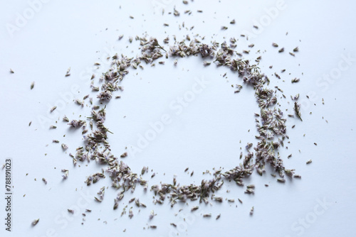 frame of dried flowers on a white background. flat lay, top view, copy space.