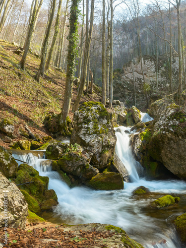 A mountain stream flowing through boulders covered with moss and forming cascades and ponds. The stream flows through a beech forest. Spring season, Carpathia, Romania.