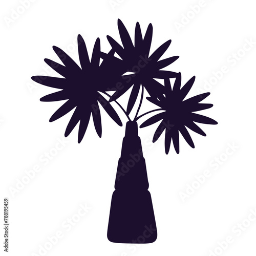 Silhouette of a tropical plant, palm tree.Vector graphics.