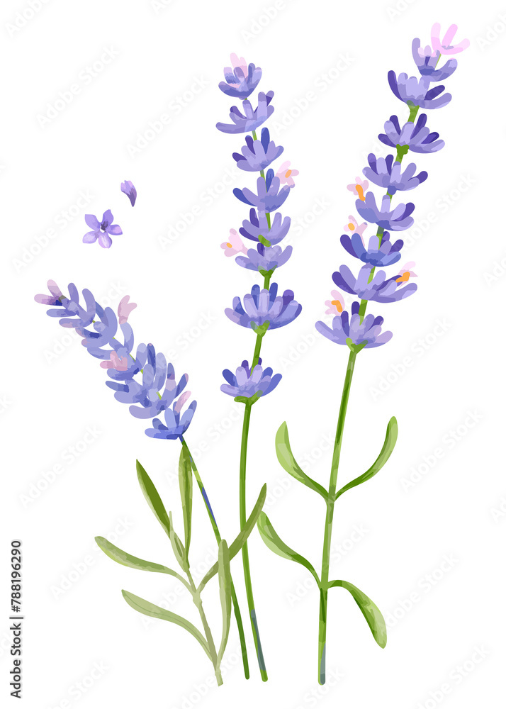 Lavender flower sticker png on transparent background