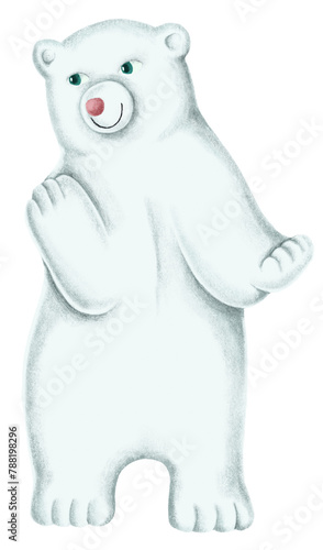 Winter polar bear animal png sticker drawing