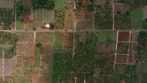 Aerial view of agricultural fields in Sotuta, Yucatan, Mexico. photo