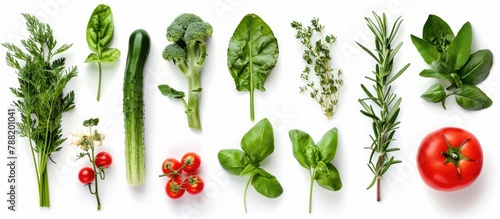 Assorted fresh vegetables and herbs seen from above, set against a white background.