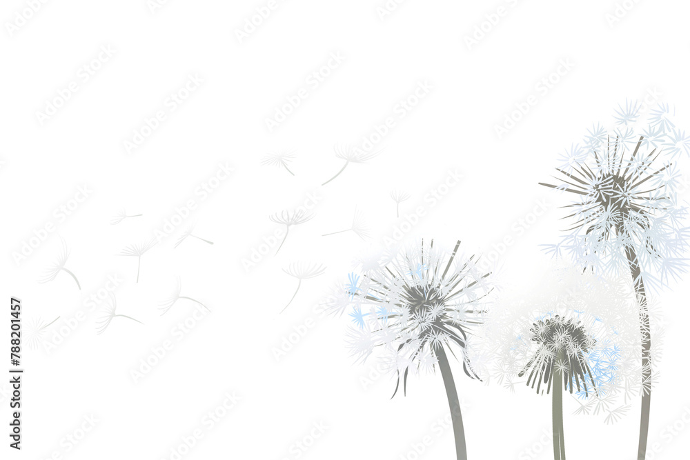 Dandelions flower png border, transparent background
