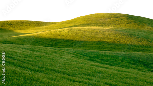 Green hills png border  transparent background