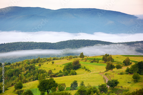 carpathian countryside scenery on a foggy morning in summer. mountainous landscape of ukraine with rural fields on the hills
