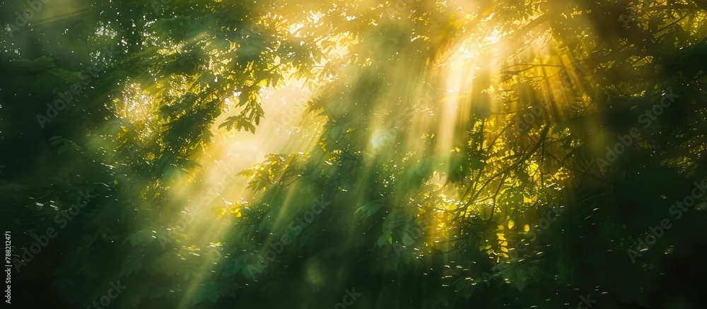 Naklejka premium Under the brilliant sunlight. Abstract natural settings