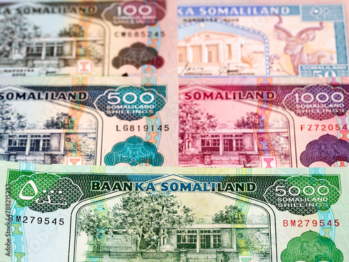 Cuadro en lienzo Somaliland shilling a business background