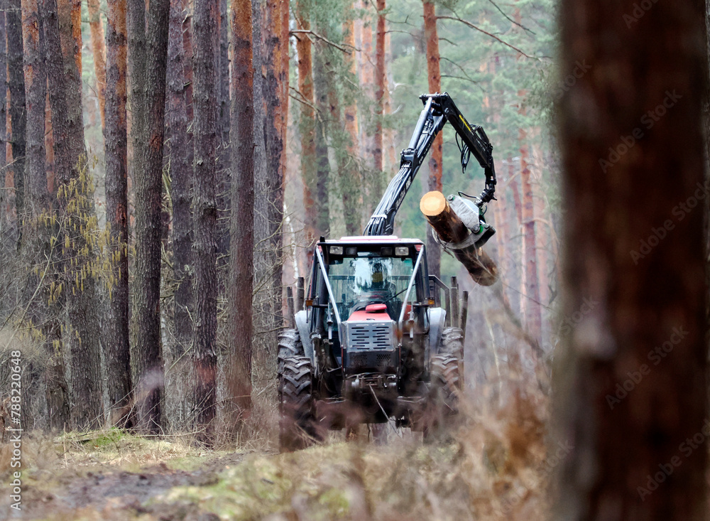 Loading wood in the forest using a tractor with a special grab