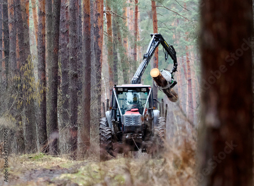 Obraz na płótnie Loading wood in the forest using a tractor with a special grab w salonie