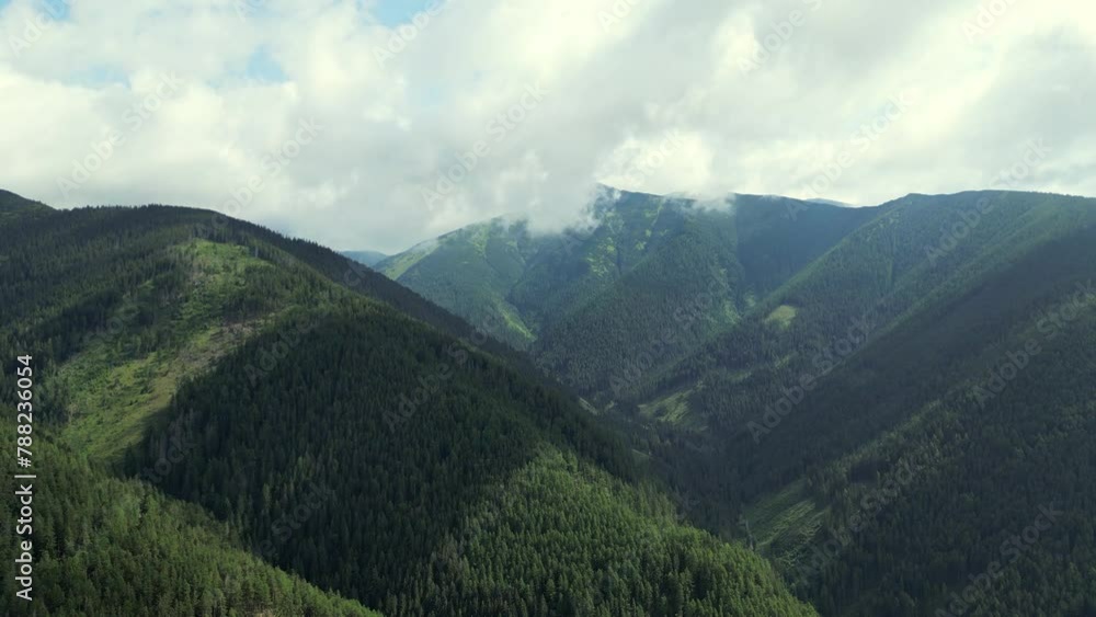 Drone View above woods forest and mountain valley with clouds on the mountain top in summer. Beautiful Alps landscape, aerial view, clouds and sun. Green thick forest in the mountains, hills, Europe Drone View above woods forest and mountain valley with clouds on the mountain top in summer. Beautiful Alps landscape, aerial view, clouds and sun. Green thick forest in the mountains, hills, Europe