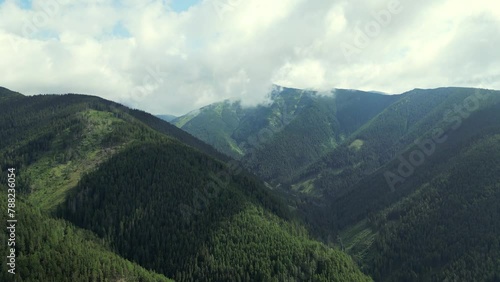 Drone View above woods forest and mountain valley with clouds on the mountain top in summer. Beautiful Alps landscape, aerial view, clouds and sun. Green thick forest in the mountains, hills, Europe (ID: 788236054)