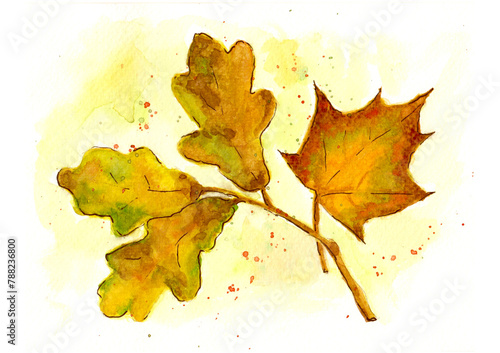 Watercolour bright leaves of oak and maple